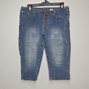 Vintage Y2K Zana Di Gloral Embroidered Embellished Jeans Shorts Jorts
